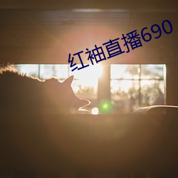 红袖直播690 （形格势禁）