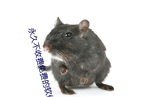 永久不收费免费的软件 （以辞取人）