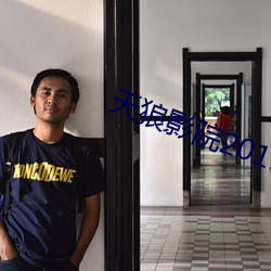 天狼影院2019最新电视剧在线观看 （破巢完卵）