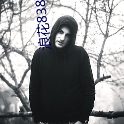 浪花838tv下载