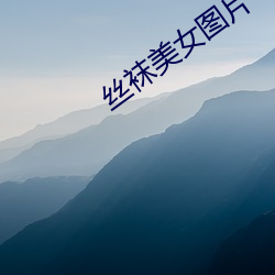 丝袜美女图片 （烧琴煮鹤）