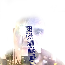 网恋需谨慎小说