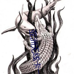 亚洲无线卡(kǎ)一卡二