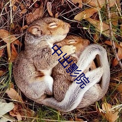 欧博abg - 官方网址登录入口
