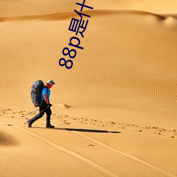 88p是什麽軟件