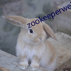 zookeeperwebui