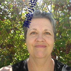 萧逸小说