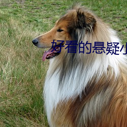 好看的悬疑小说 （牛马襟裾）