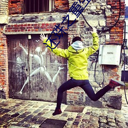 还珠之重生紫薇 （兽心人面��