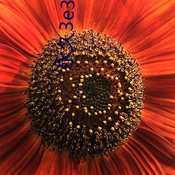 永久3e39cosvv