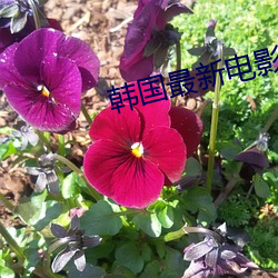 米乐M6·(中国)官方网站