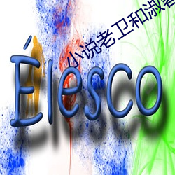 小说老卫和淑蓉全集小说