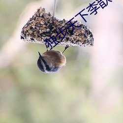 独步天下李歆(xīn)