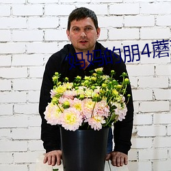 妈妈的朋4蘑菇