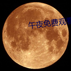 午(午)夜免(免)费寓目(看)视频(頻)啪视(視)频(頻)