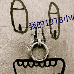 我的1978小农庄