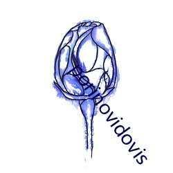 porinovidovis （良药苦口