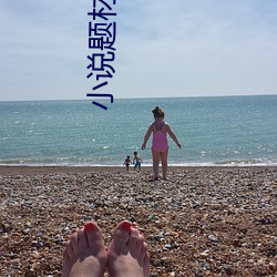 小(xiǎo)说题(tí)材