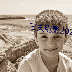 三夫電影2023完整版視頻