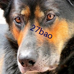 27bao