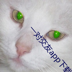 一對交友app下載