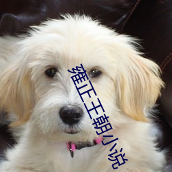 雍正王朝小说