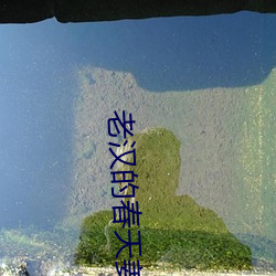 老汉的春天姜雨柔