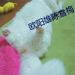 suncitygroup太阳集团--官方网站