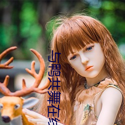 与鸭(鴨)共(共)舞在(在)线观看