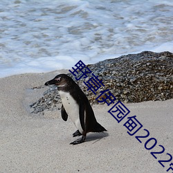野草伊园甸2022带你进入 （对床风雨）