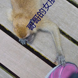 九游会登录j9入口 - 中国官方网站 | 真人游戏第一品牌