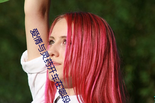 爱情与灵药开车在哪段