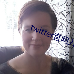 twitter官(官)网入(入)口