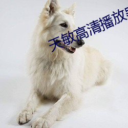 天敏(敏)高(高)清(清)播放器