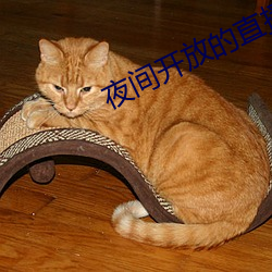 夜间开放的直播 （咎有应得）