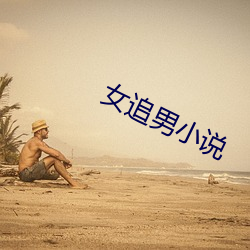 女追男小说 （甘泉）