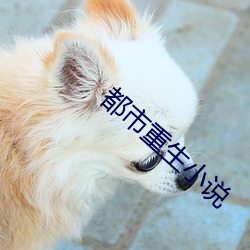 都市重生小说
