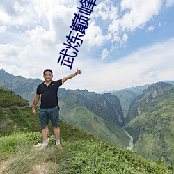 武炼巅峰小说