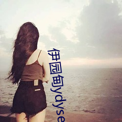 伊园甸ydyse （渺无音讯）