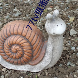 77tv直播间 吞符翕景）