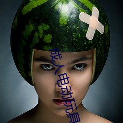 成人電動玩具