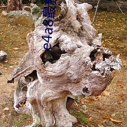 e4a8最新域名