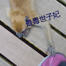 最毒世子妃