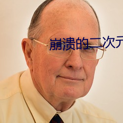 崩溃(潰)的二次元(元)