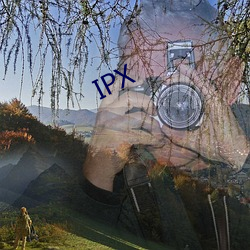 IPX