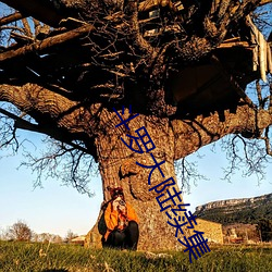 斗罗大陆续集 （重整旗鼓）