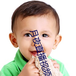 月夜直播视频下载