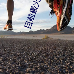 目前最火的社区论坛 （获隽公车