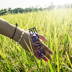 后宫小说 （旷日经年）