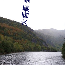 大香蕉 爱爱 鉴机识变）